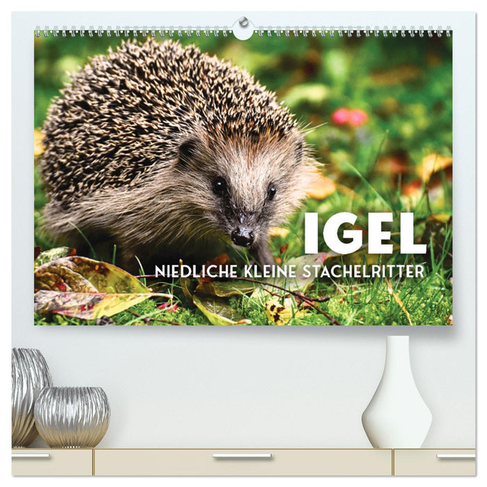 Igel - Niedliche kleine Stachelritter (CALVENDO Premium Wandkalender 2025)