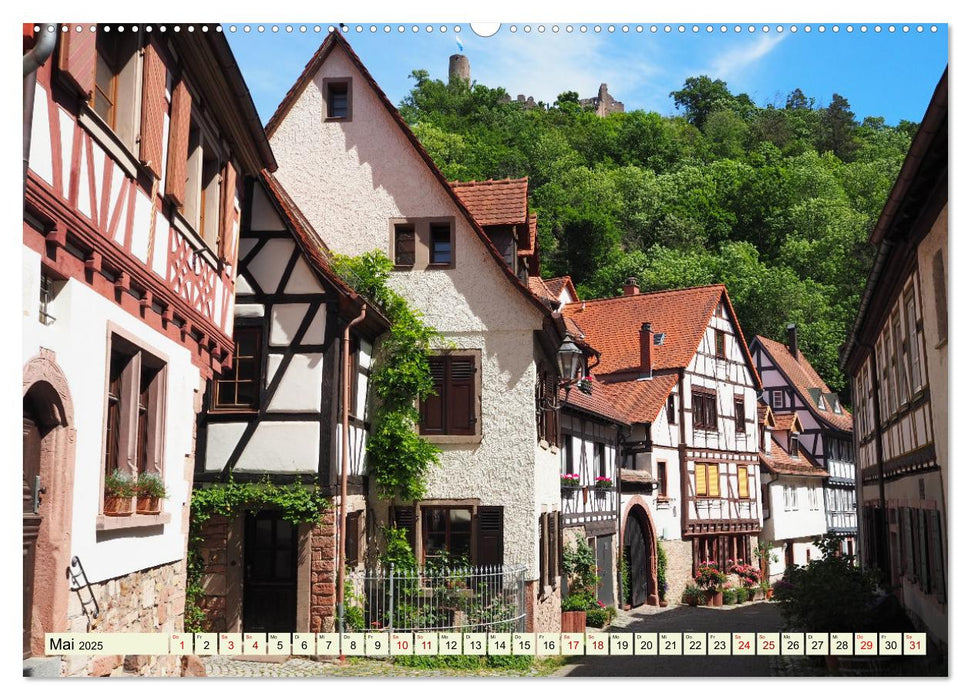 Unterwegs in Weinheim mit Ilona Andersen (CALVENDO Premium Wandkalender 2025)