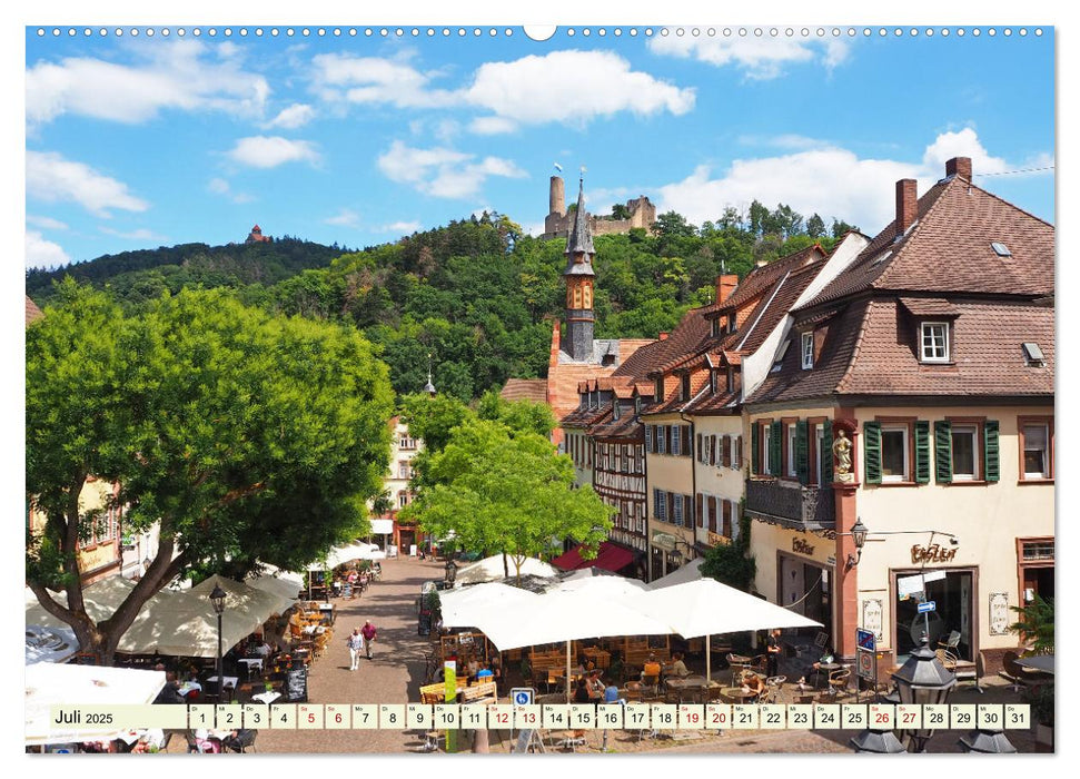 Unterwegs in Weinheim mit Ilona Andersen (CALVENDO Premium Wandkalender 2025)