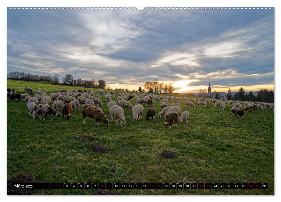 Neue Impressionen von der Schwäbischen Alb (CALVENDO Wandkalender 2025)