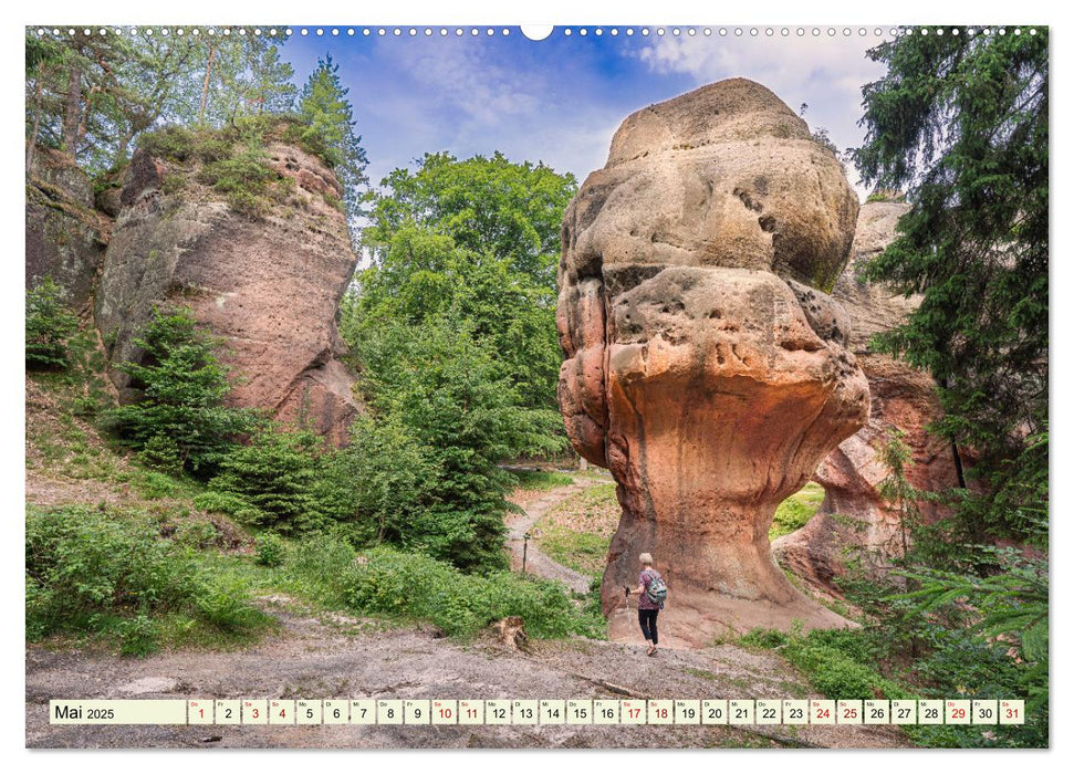 Zittauer Gebirge-Urlaubsromantik und Wanderparadies (CALVENDO Wandkalender 2025)