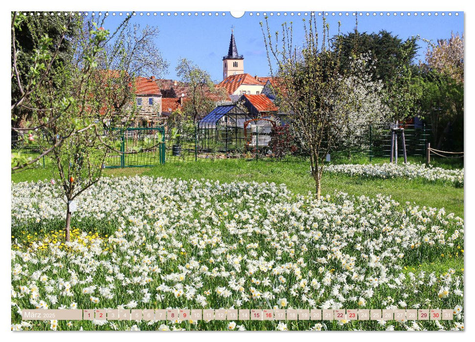 Ein Spaziergang durch Beelitz (CALVENDO Wandkalender 2025)