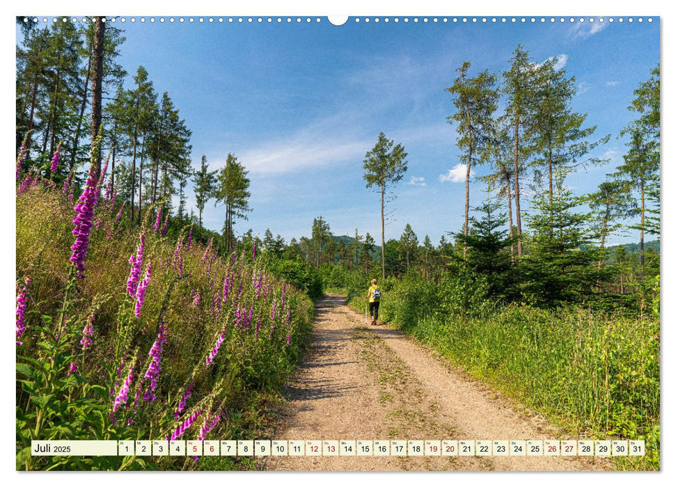 Zittauer Gebirge-Urlaubsromantik und Wanderparadies (CALVENDO Premium Wandkalender 2025)