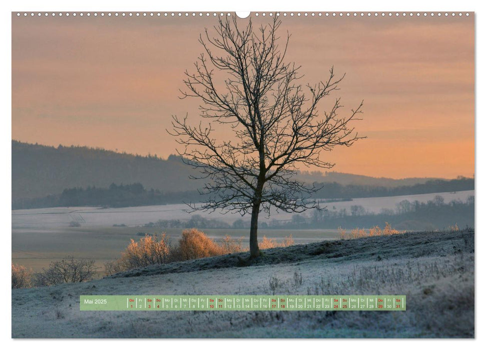 Zauber des Lichts (CALVENDO Wandkalender 2025)