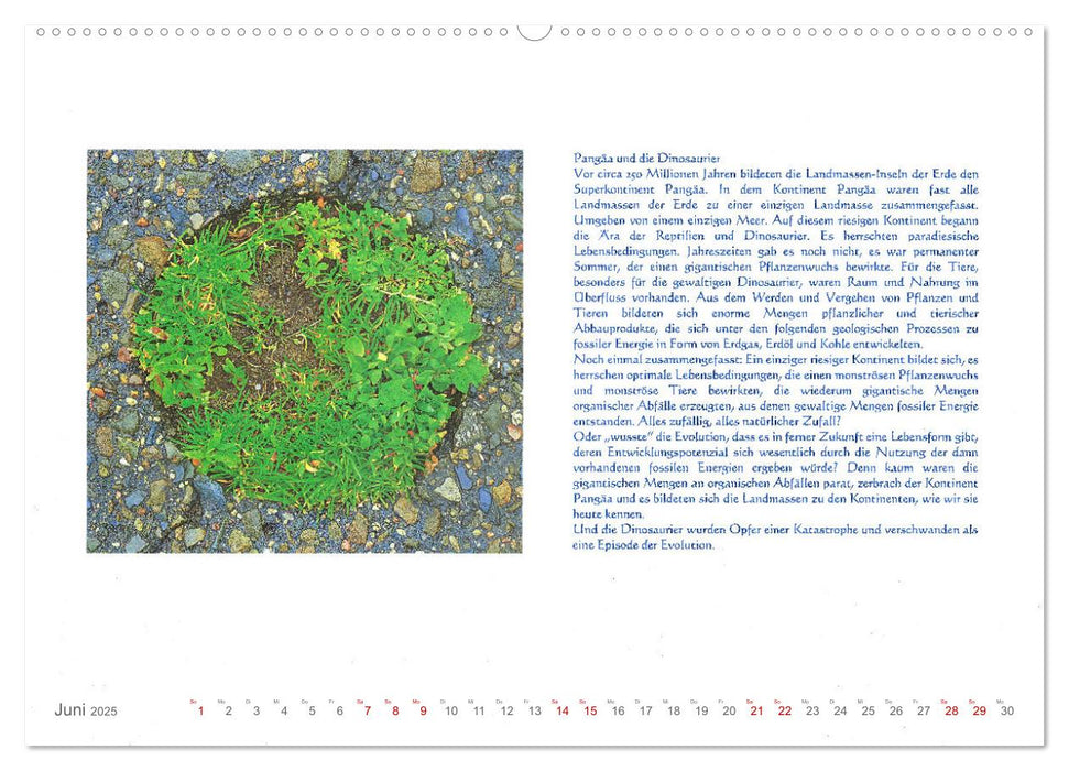 Wundervolle Wirklichkeit - Nachdenk-Kalender (CALVENDO Wandkalender 2025)