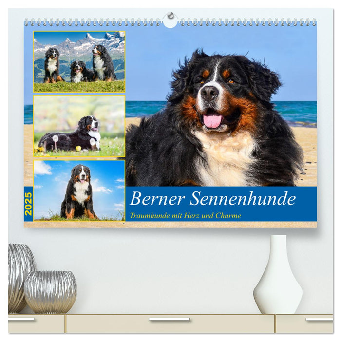 Berner Sennenhunde - Traumhunde mit Charme (CALVENDO Premium Wandkalender 2025)