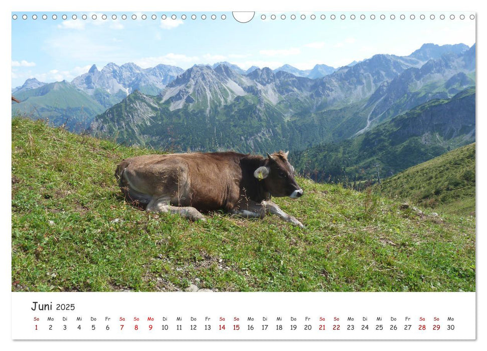 Kleinwalsertal - Das kleine Glück vor unserer Tür (CALVENDO Wandkalender 2025)