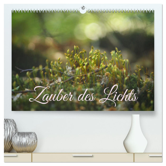 Zauber des Lichts (CALVENDO Premium Wandkalender 2025)