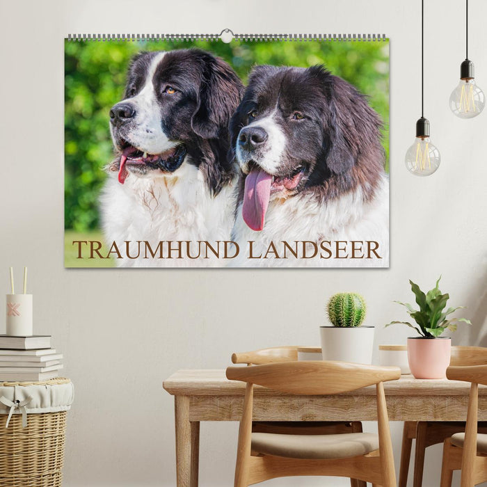 Traumhund Landseer (CALVENDO Wandkalender 2025)