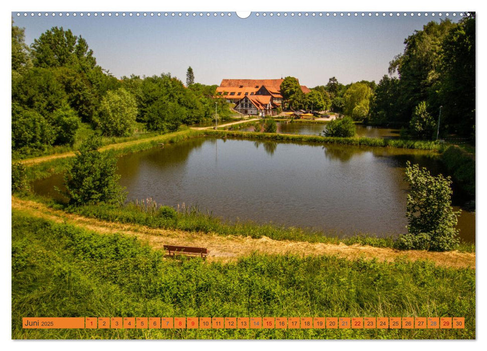 Das Kloster Michaelstein erleben – Ehemalige Zisterzienser – Abtei in Blankenburg am Harz (CALVENDO Wandkalender 2025)