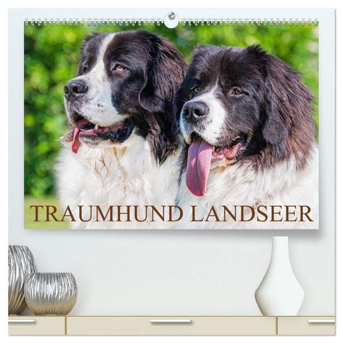 Traumhund Landseer (CALVENDO Premium Wandkalender 2025)