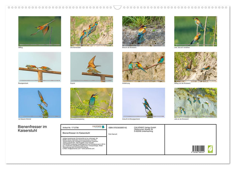 Bienenfresser im Kaiserstuhl (CALVENDO Wandkalender 2025)