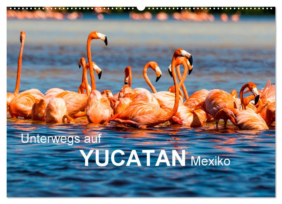 Unterwegs auf Yucatan Mexiko (CALVENDO Wandkalender 2025)