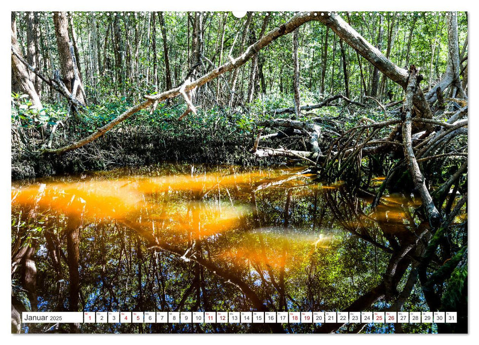 Unterwegs auf Yucatan Mexiko (CALVENDO Wandkalender 2025)