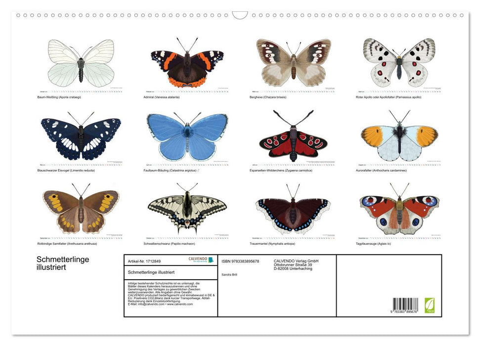 Schmetterlinge illustriert (CALVENDO Wandkalender 2025)