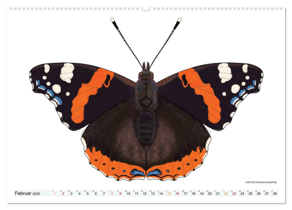 Schmetterlinge illustriert (CALVENDO Wandkalender 2025)