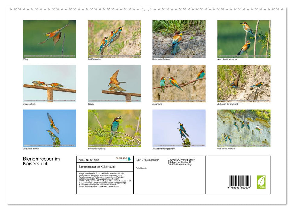 Bienenfresser im Kaiserstuhl (CALVENDO Premium Wandkalender 2025)