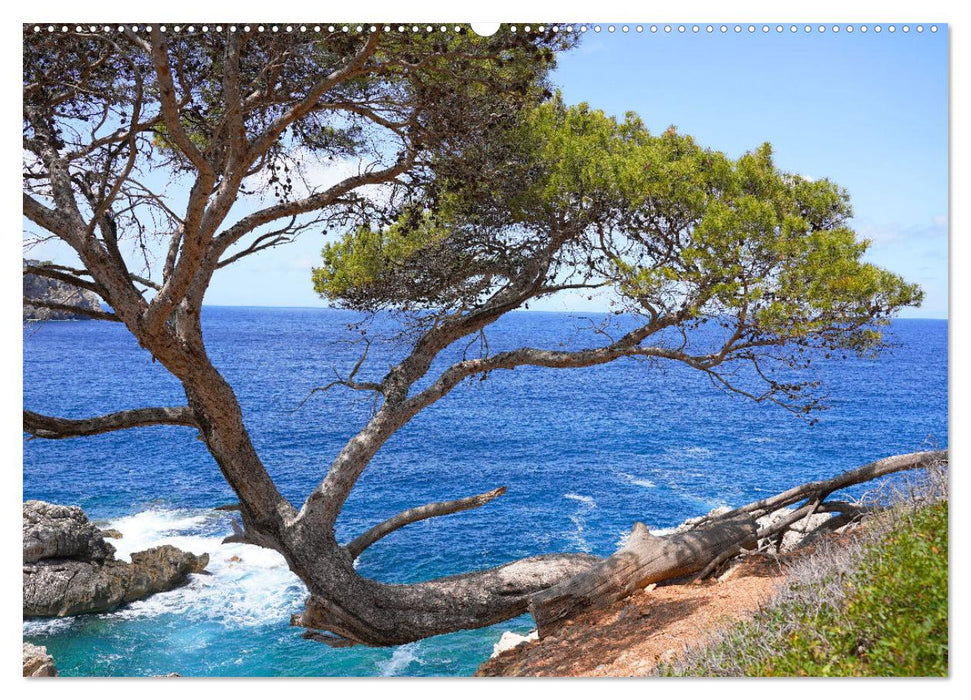 Cala Deia - Mallorcas Traumbucht (CALVENDO Wandkalender 2025)