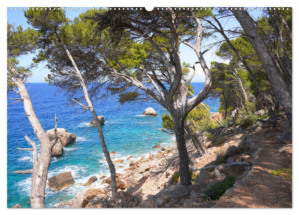 Cala Deia - Mallorcas Traumbucht (CALVENDO Wandkalender 2025)