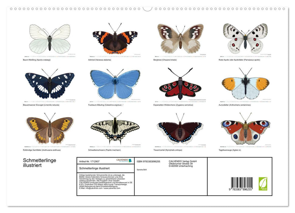 Schmetterlinge illustriert (CALVENDO Premium Wandkalender 2025)