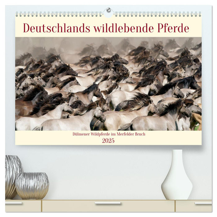 Deutschlands wildlebende Pferde (CALVENDO Premium Wandkalender 2025)