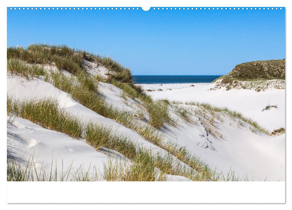 Amrum - Das Paradies in der Nordsee (CALVENDO Wandkalender 2025)