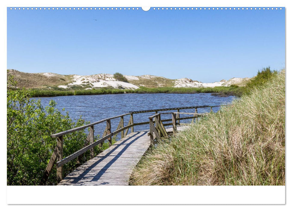 Amrum - Das Paradies in der Nordsee (CALVENDO Wandkalender 2025)