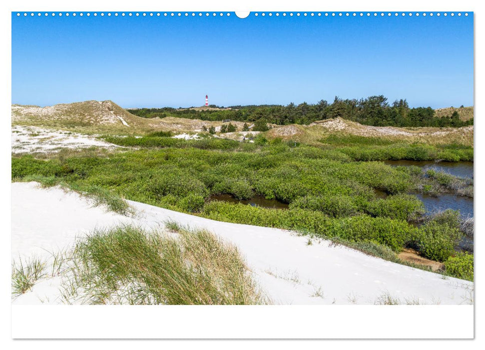 Amrum - Das Paradies in der Nordsee (CALVENDO Wandkalender 2025)