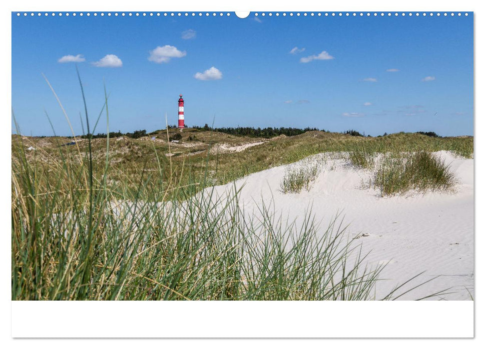 Amrum - Das Paradies in der Nordsee (CALVENDO Wandkalender 2025)