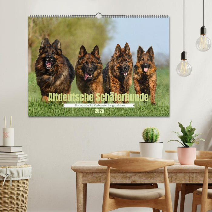 Altdeutsche Schäferhunde - Traumhafte Schäferhunde Langstockhaar (CALVENDO Wandkalender 2025)