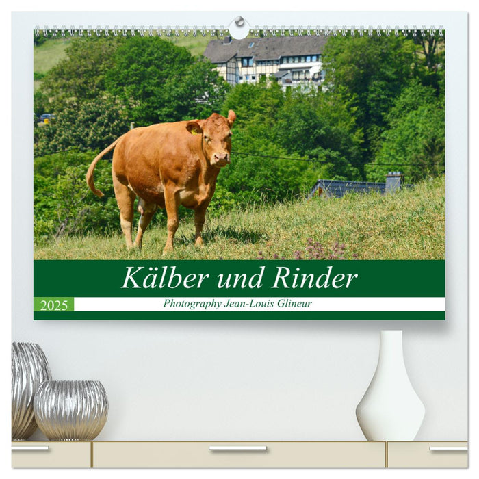 Kälber und Rinder (CALVENDO Premium Wandkalender 2025)