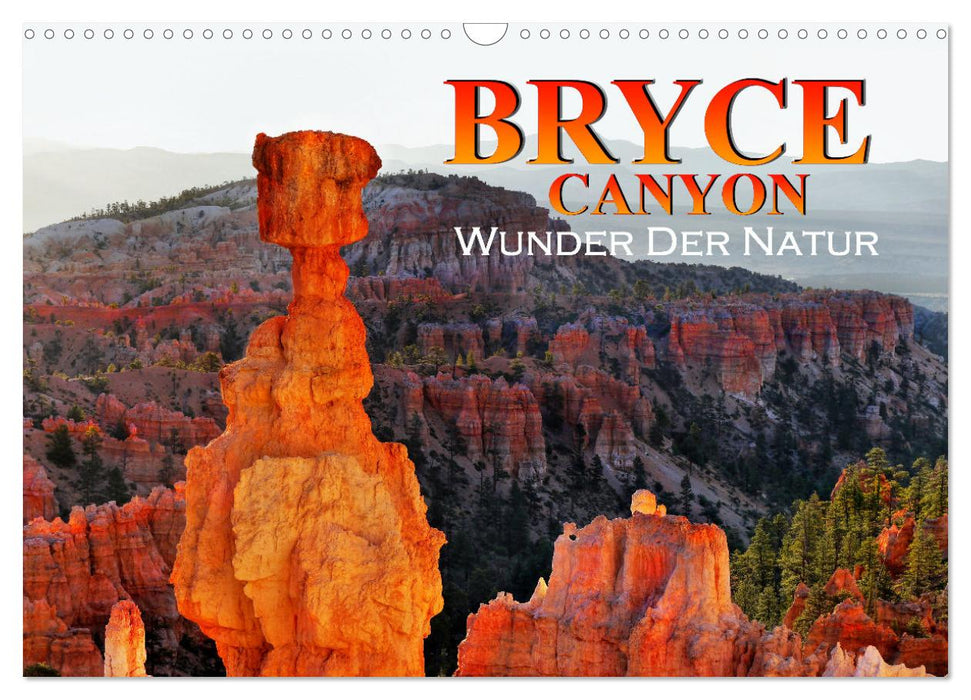 Bryce Canyon, Wunder der Natur (CALVENDO Wandkalender 2025)