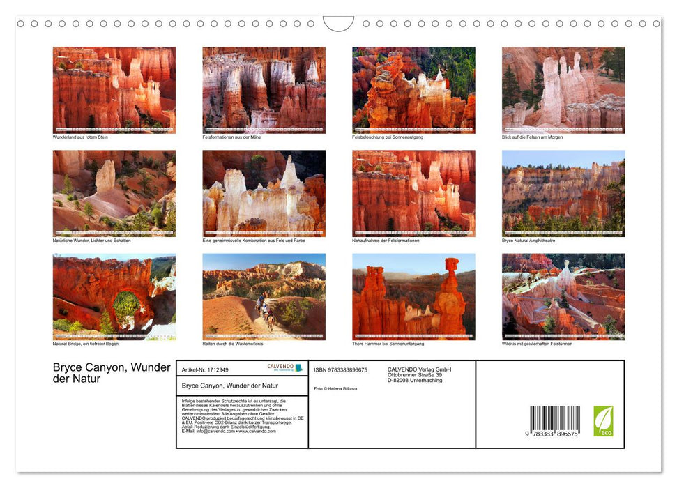 Bryce Canyon, Wunder der Natur (CALVENDO Wandkalender 2025)