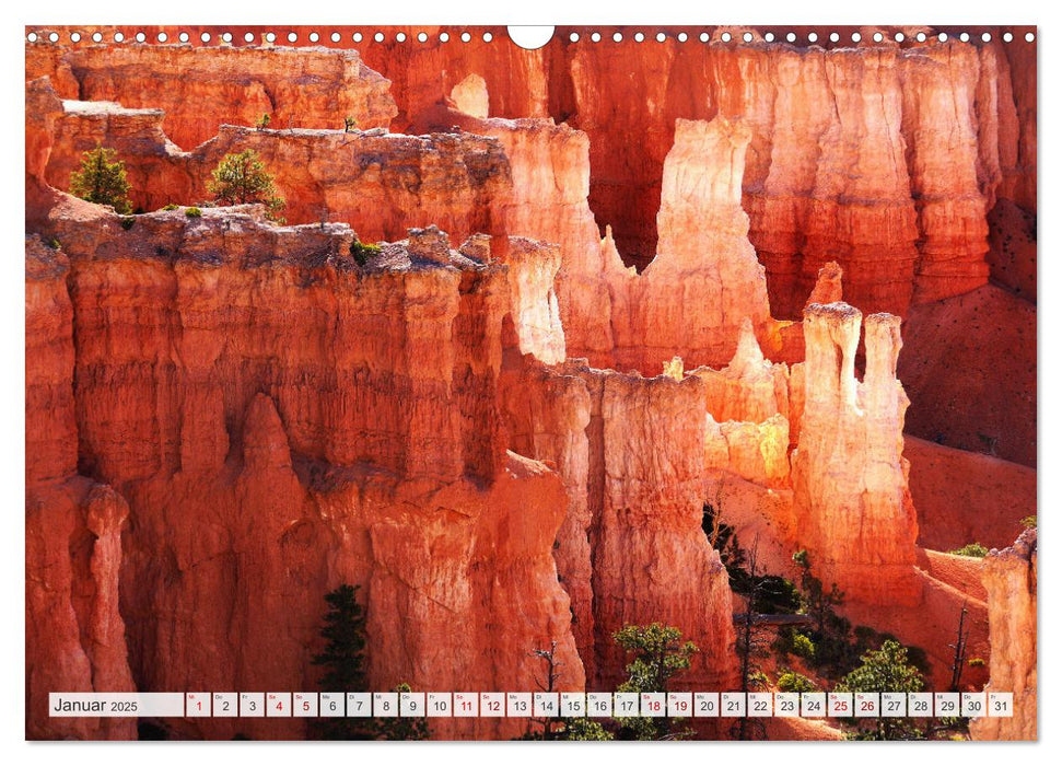 Bryce Canyon, Wunder der Natur (CALVENDO Wandkalender 2025)