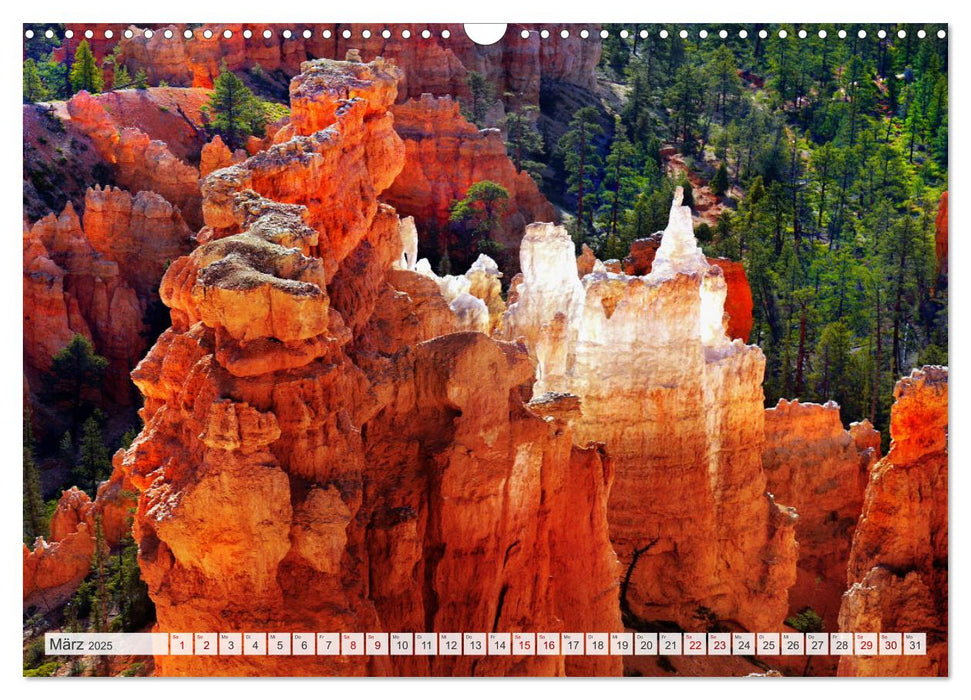 Bryce Canyon, Wunder der Natur (CALVENDO Wandkalender 2025)