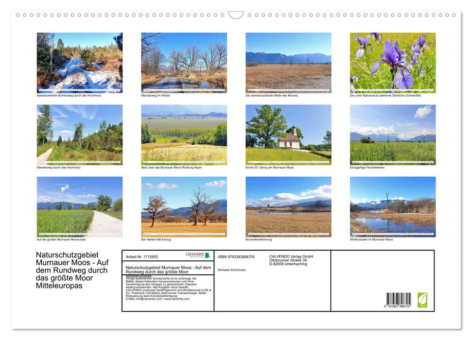 Naturschutzgebiet Murnauer Moos - Auf dem Rundweg durch das größte Moor Mitteleuropas (CALVENDO Wandkalender 2025)