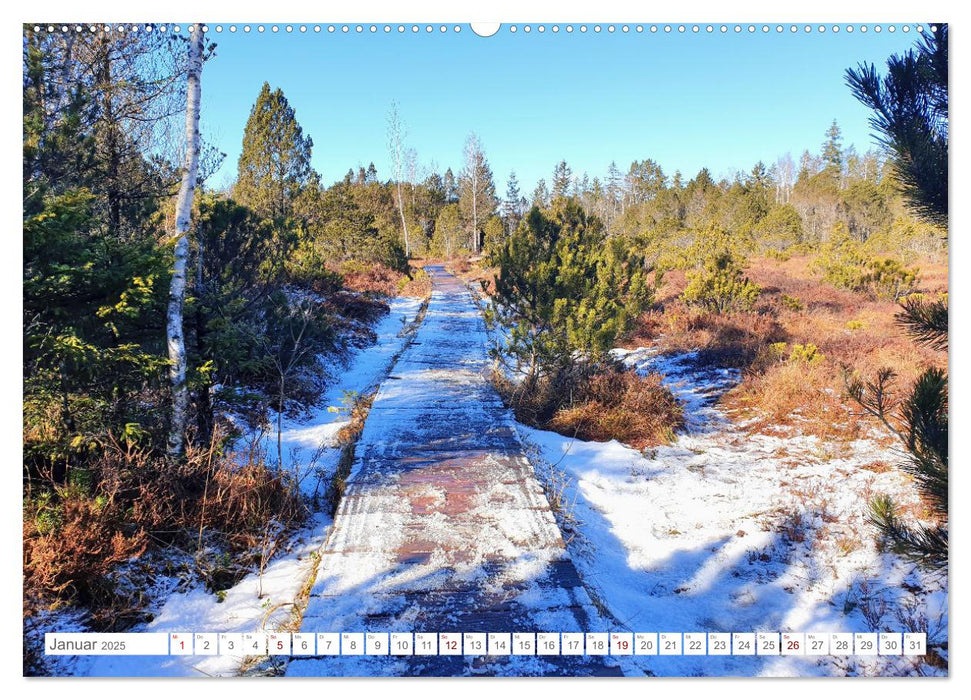 Naturschutzgebiet Murnauer Moos - Auf dem Rundweg durch das größte Moor Mitteleuropas (CALVENDO Wandkalender 2025)