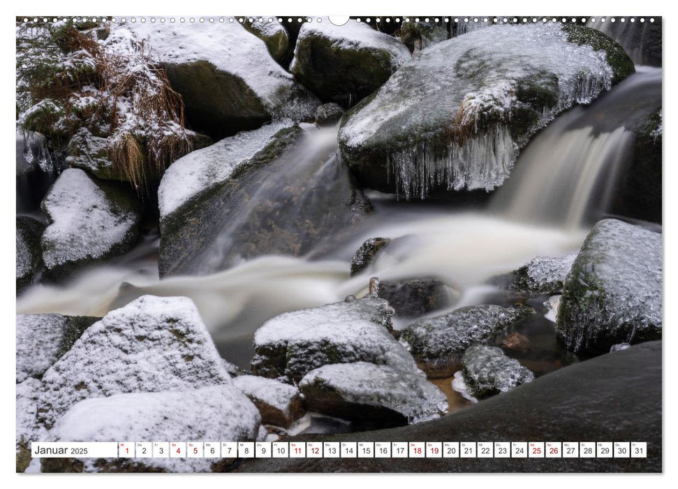 Harzträume - Eine Reise durch die Natur (CALVENDO Wandkalender 2025)