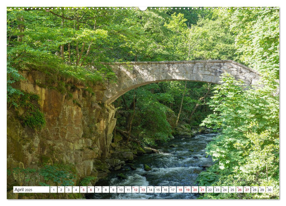 Harzträume - Eine Reise durch die Natur (CALVENDO Wandkalender 2025)