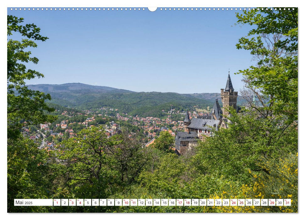 Harzträume - Eine Reise durch die Natur (CALVENDO Wandkalender 2025)