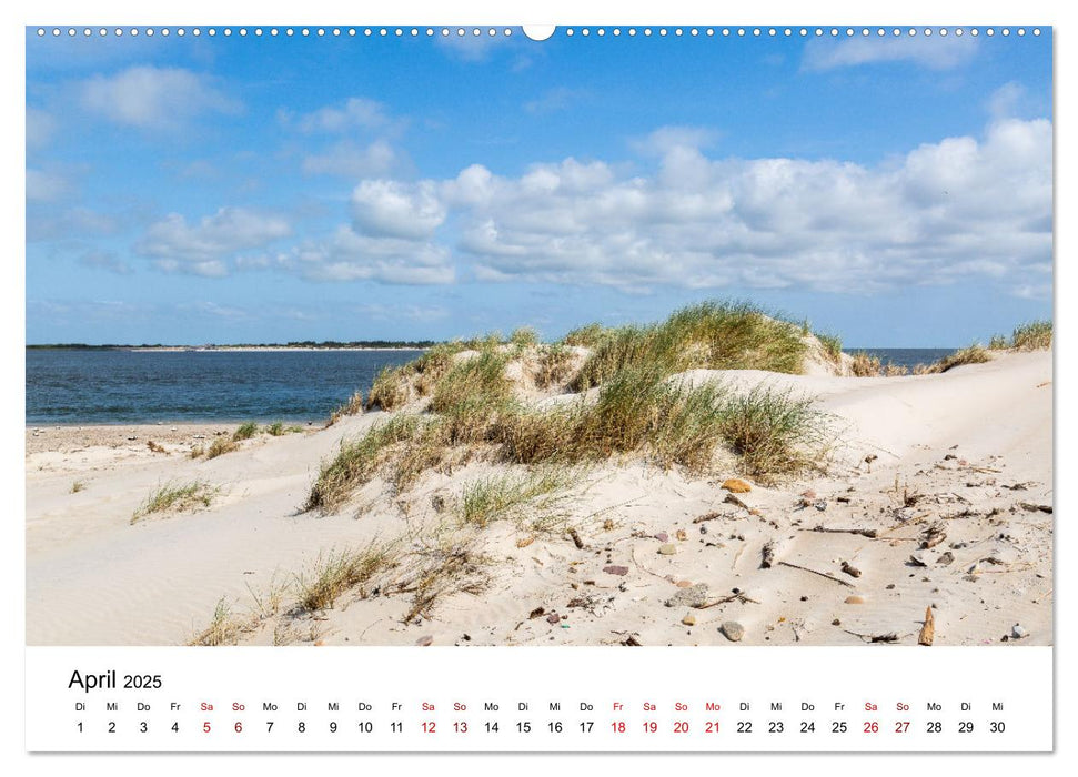 Amrum - Das Paradies in der Nordsee (CALVENDO Premium Wandkalender 2025)