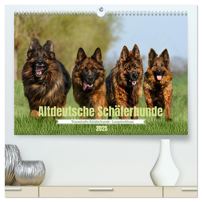 Altdeutsche Schäferhunde - Traumhafte Schäferhunde Langstockhaar (CALVENDO Premium Wandkalender 2025)