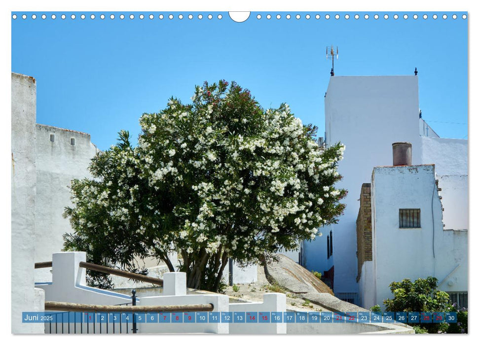 Conil de la Frontera - Eindrücke einer Stadt am Atlantik (CALVENDO Wandkalender 2025)