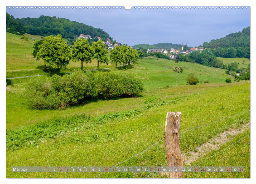 Ein Blick auf Marsberg (CALVENDO Wandkalender 2025)