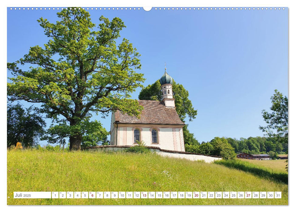 Naturschutzgebiet Murnauer Moos - Auf dem Rundweg durch das größte Moor Mitteleuropas (CALVENDO Premium Wandkalender 2025)