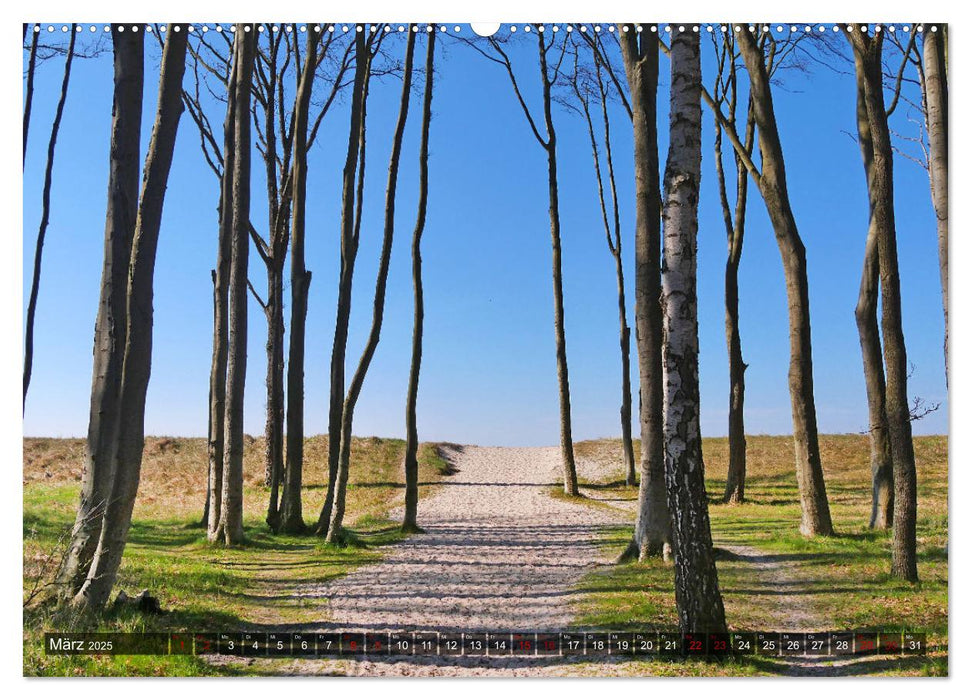 Graal-Müritz, Malerische Küstenmomente (CALVENDO Wandkalender 2025)