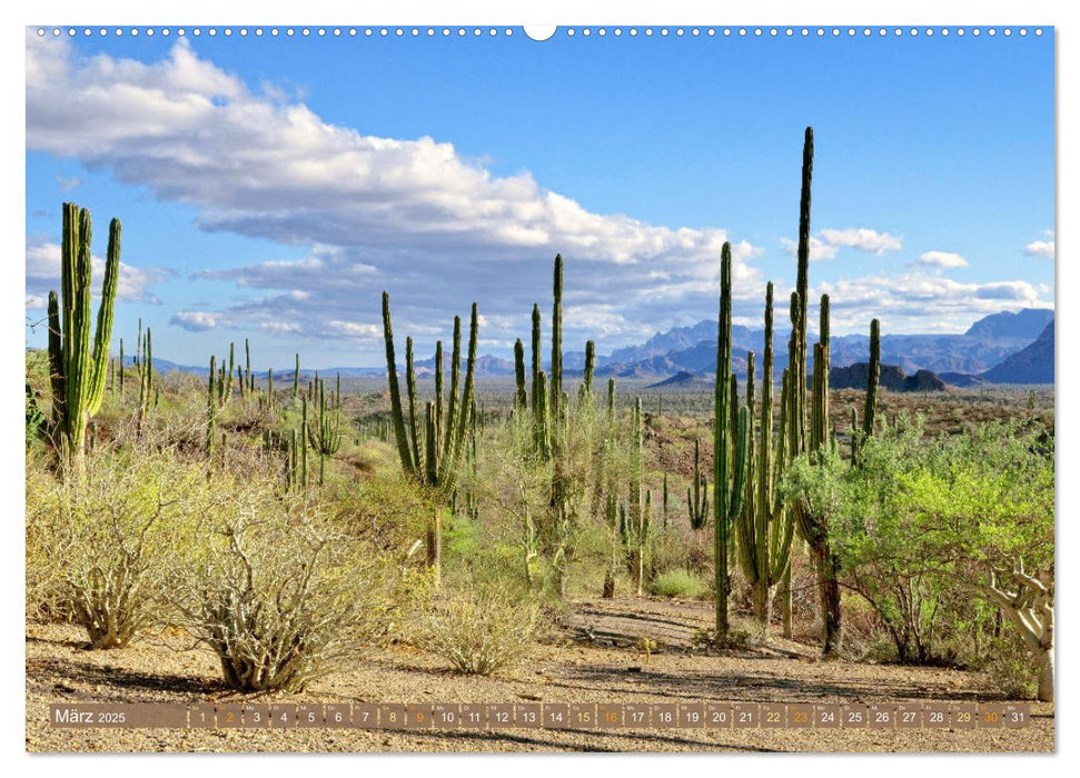 Mexiko: Natur mit Geschichte (CALVENDO Wandkalender 2025)