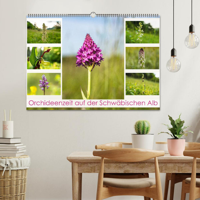 Orchideenzeit auf der Schwäbischen Alb (CALVENDO Wandkalender 2025)