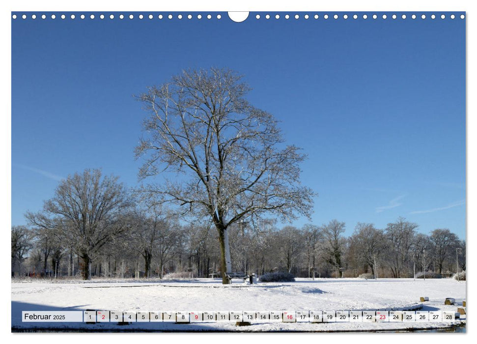 Emsauenpark Lingen (CALVENDO Wandkalender 2025)