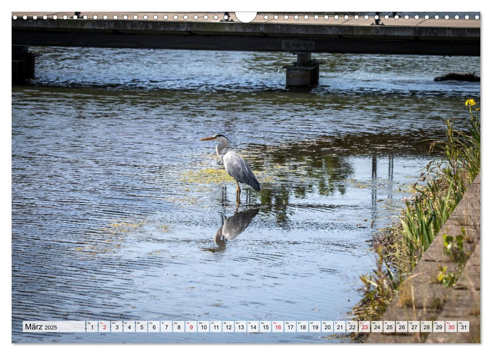 Emsauenpark Lingen (CALVENDO Wandkalender 2025)